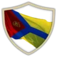Допомога інвалідам війни у Кропивницькому
